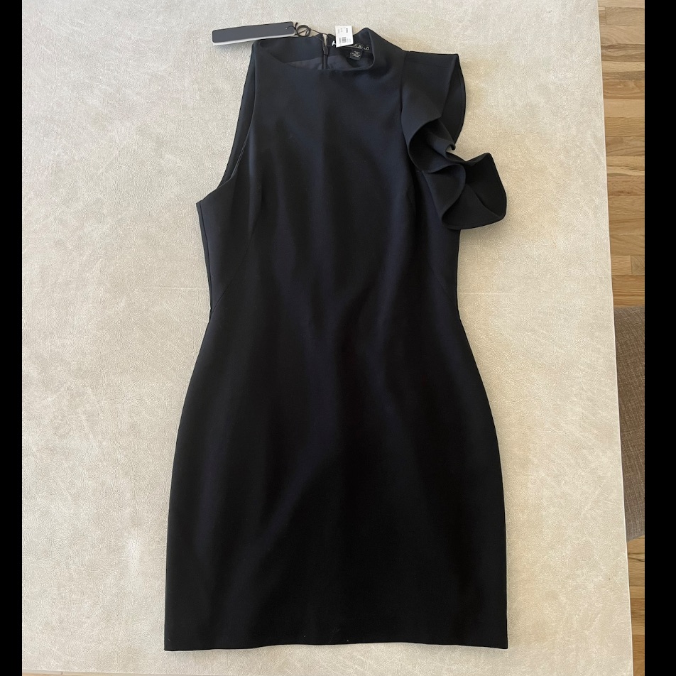 Nwt- Pabla Mini Dress- Black Halo- Size 6